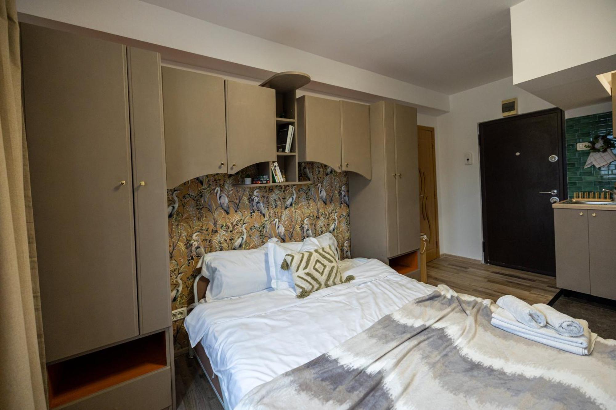 Cozy Studio Retreat - Quiet, Premium Stay 蒂米什瓦拉 外观 照片